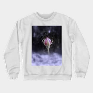 rosebud in the snow 3, tinted Crewneck Sweatshirt